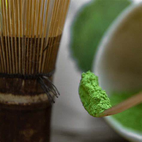 Matcha gamybos procesas