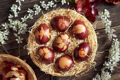 Kiaušinių dažymas svogūnų lukštais su ryžiais