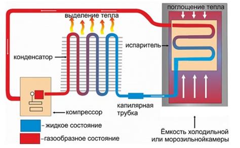 Šaldytuvo skyrių išdėstymo schema