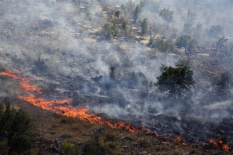 Miškų gaisrai Kroatijoje. Dūmai virš gyvenviečių.