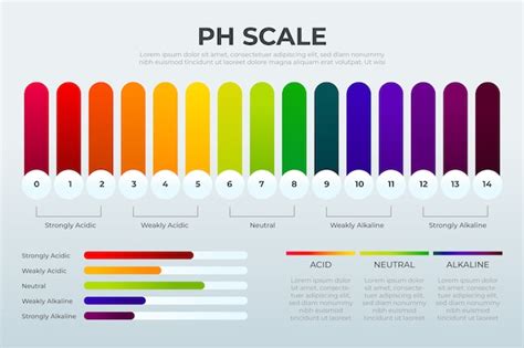 Veiksnių, lemiančių mėsos pH ir spalvą, infografika