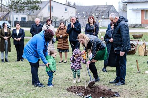 Augantis daigas, pralaužiantis sausą žemę, simbolizuojantis atsparumo ir augimo idėją