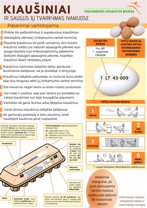 Kiaušinio trynio maistinė vertė infografika