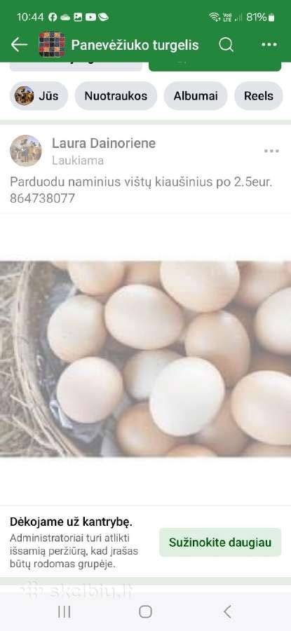 Naminiai kiaušiniai krepšelyje ant šiaudų