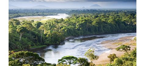 Prancūzijos Gvianos džiunglių kraštovaizdis