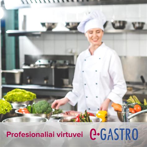 Įvairios profesionalios virtuvės įrangos rūšys