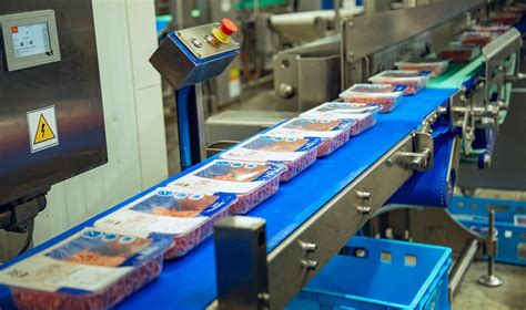 Mėsos produktų kokybės kontrolės procesas