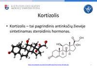 Tamoksifeno molekulinė struktūra ir veikimo mechanizmas