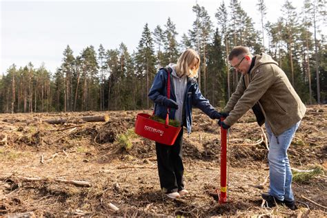 Medžių sodinimo strategija vėjo apsaugai