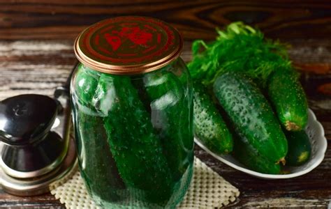 Švieži agurkai su vandens lašeliais