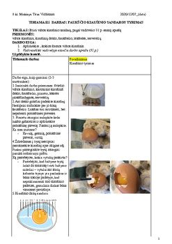 Vištos kiaušinio sandaros schema
