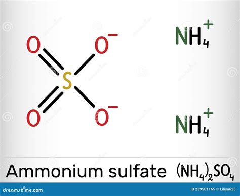 Amonio sulfato išsodinimo etapai