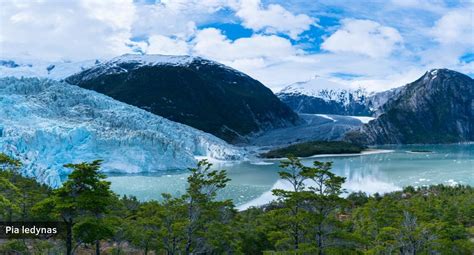 N. K. Nikoghosian. „Mokslininkas ir keliautojas F. P. Kingas, tyrinėjęs Argentinos ir Čilės pakrantes“ (1979)