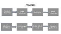 Virimo proceso schema