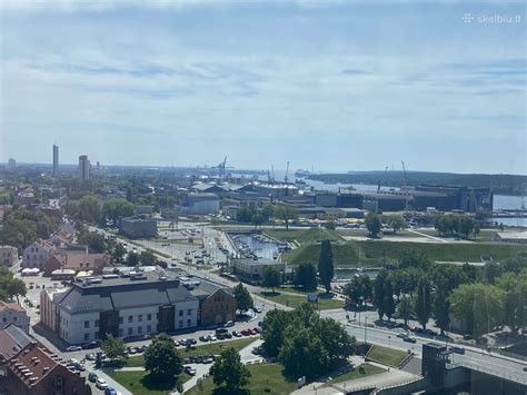 Kavinukė Klaipėdoje