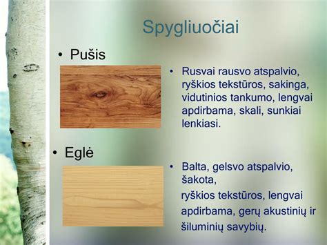 Medienos rūšys rūkymui ir jų poveikis skoniui