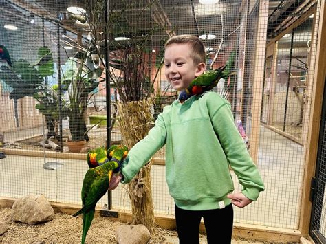 Kolumbijos Llanos kraštovaizdis su gyvūnais