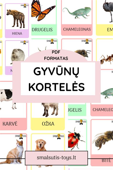 Mįslių kortelės archyve