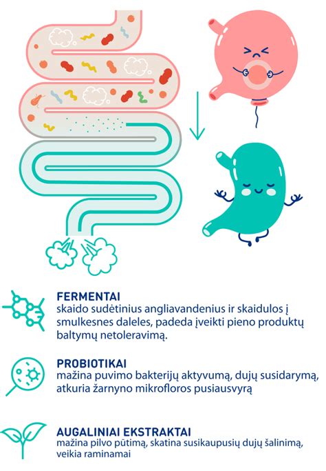 Infografika: Pilvo pūtimo priežastys ir sprendimai