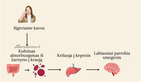 Atsparusis krakmolas ir jo poveikis sveikatai