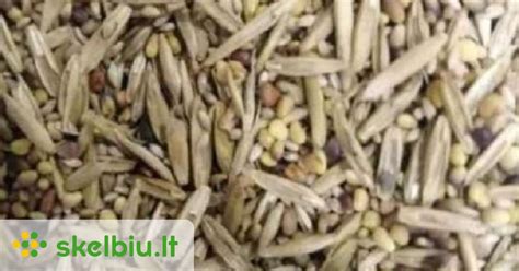 Įvairios sėklos duonos sudėtyje