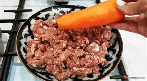 Maltos mėsos ir daržovių įdaras