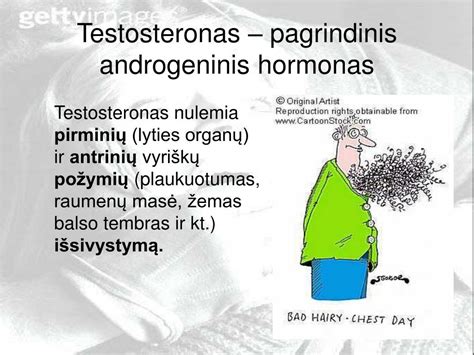 Vyriški hormonai ir testosteronas