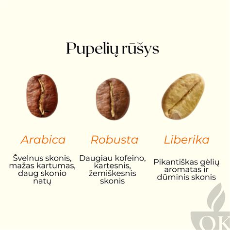 Įvairių kavos pupelių rūšys