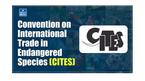 CITES konvencijos simbolis
