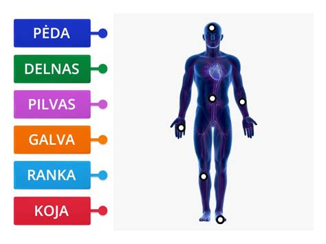 Žmogaus, deginančio kalorijas, diagrama