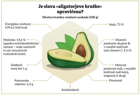 Avokado naudos infografika