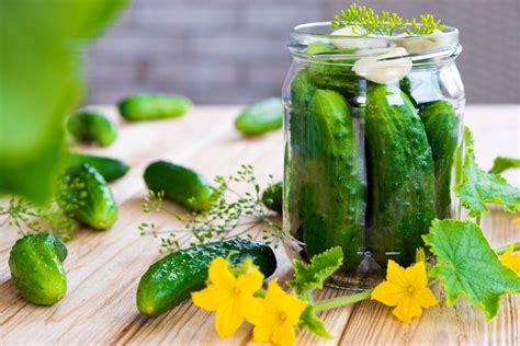 Tinkami ir netinkami agurkai marinavimui ir rauginimui