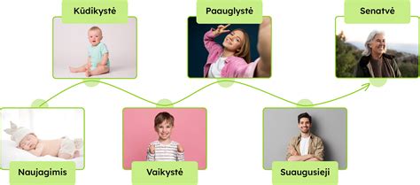 Dvasinio ir materialinio gyvenimo pusiausvyros schema