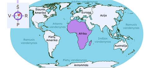 Afrikos skydinės kobros išpūtusios kaklą