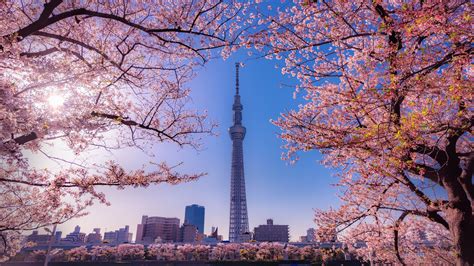 Pietų Korėjos COVID-19 tyrimų centras