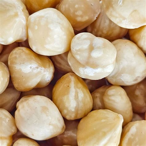 Įvairūs riešutai: lazdyno, migdolai, graikiniai, žemės