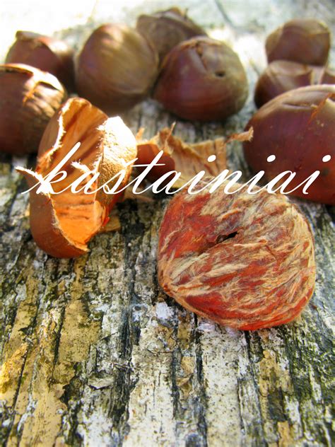 Kaštainiai kepami ant žarijų