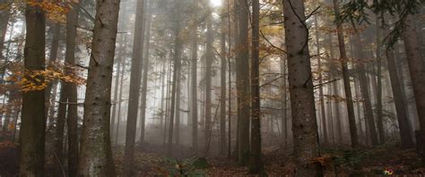 Gražus vaizdas iš Via Ferrata maršruto