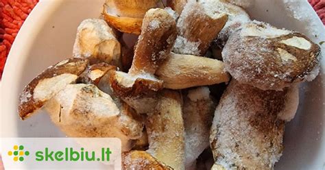 Šaldyti baravykai ir jų panaudojimas