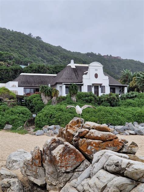 Vynuogynai Pietų Afrikoje