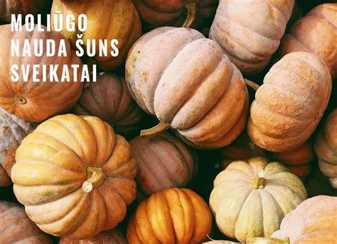 Šviežio ir užšaldyto moliūgo palyginimas