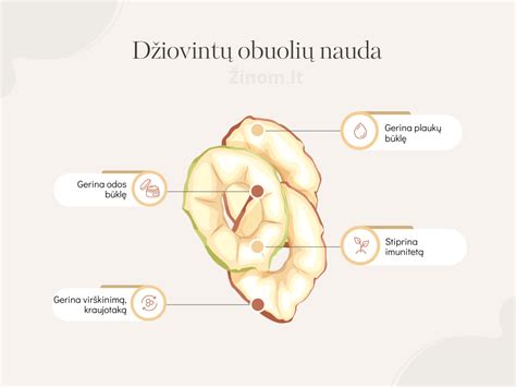 Džiovintų obuolių naudos infografika
