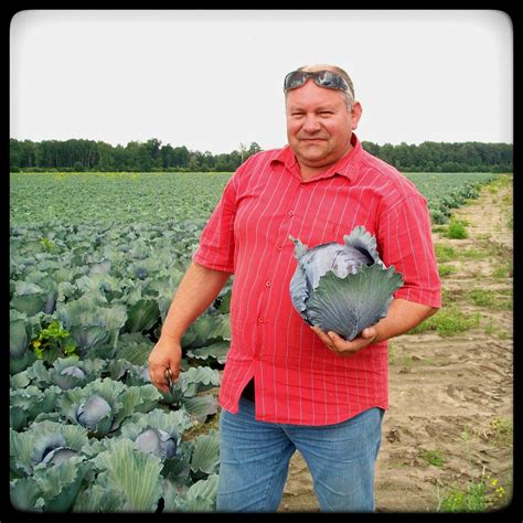 Lietuvos daržovių augintojų asociacijos schema