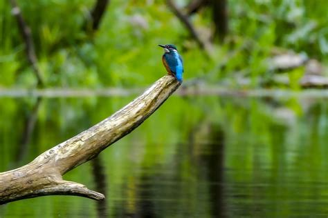 Norvegijos gamtos vaizdai