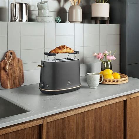 Stilingas virtuvės skrudintuvas