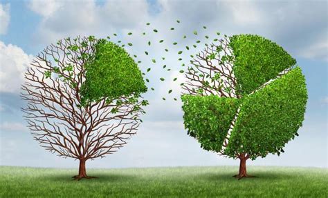 Duonos rinkos dalis pagal rūšis