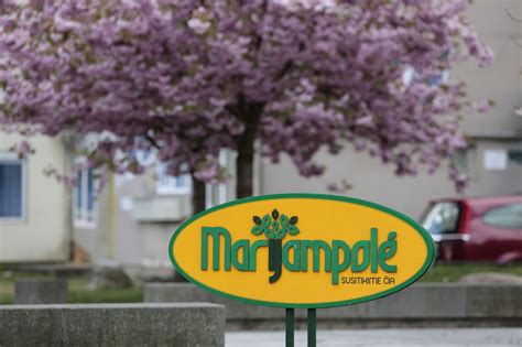 Vaizdas į Marijampolės senamiestį