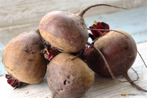 Švieži burokėliai