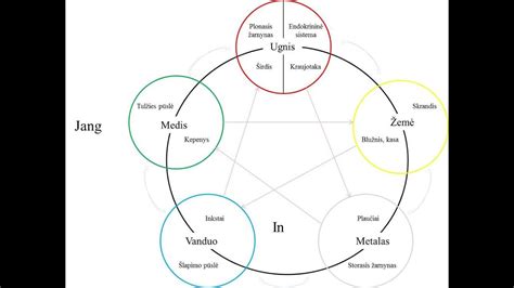 Penkių elementų ciklas
