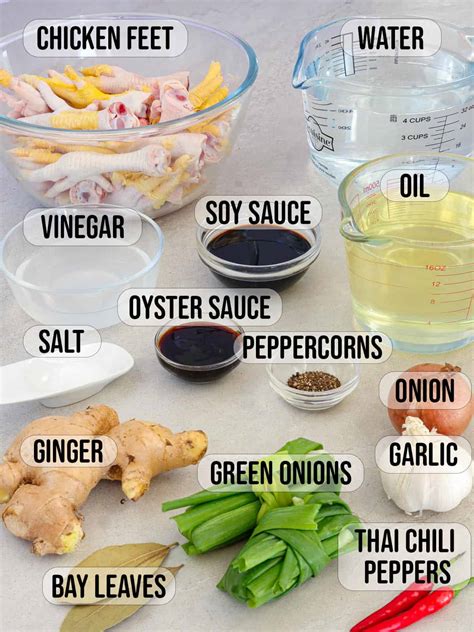 Įvairūs ingredientai kinietiškiems padažams: imbieras, čili, medus, sojų padažas
